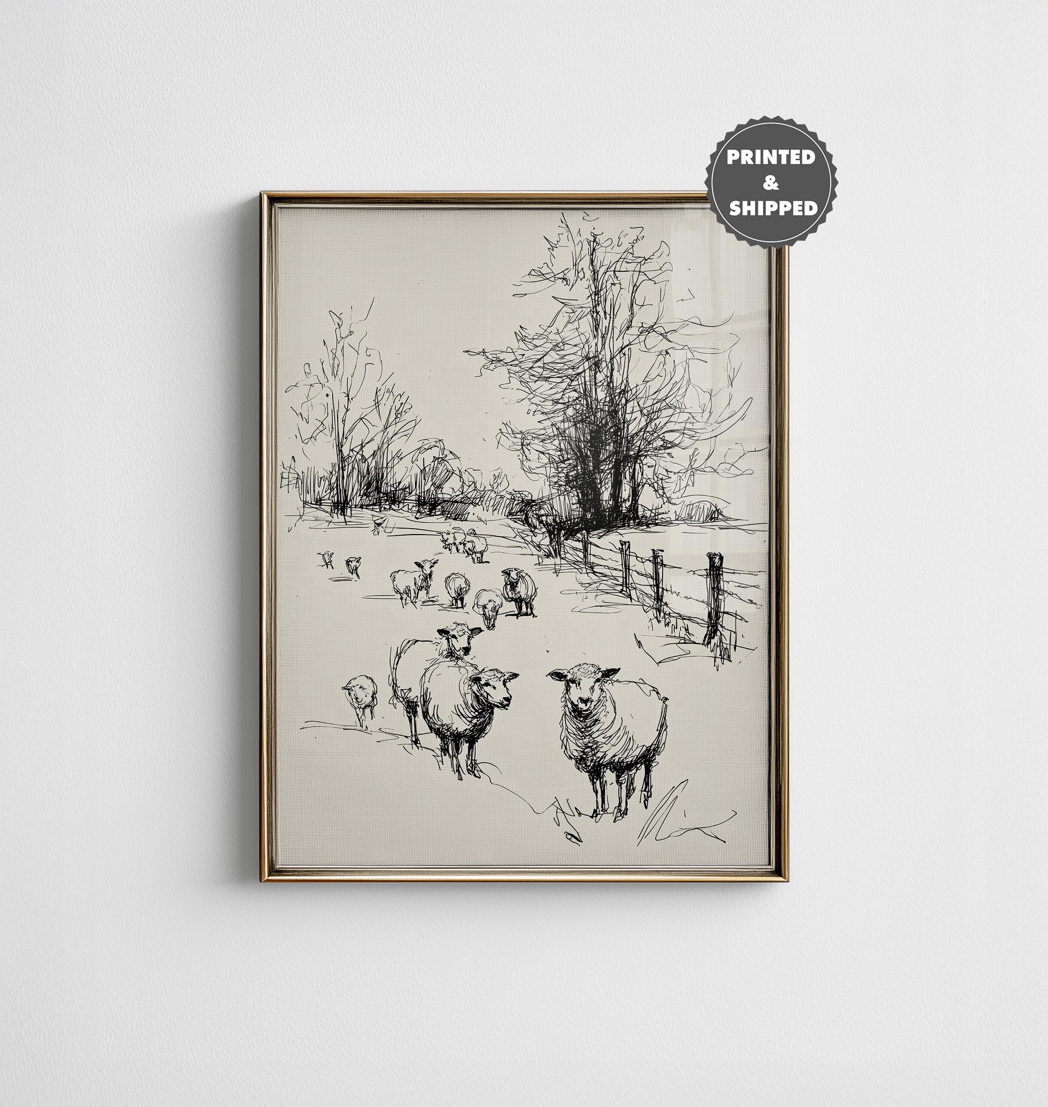 Vintage Sheep Sketch Print, Minimalist Antique Line Drawing Wall Art ...