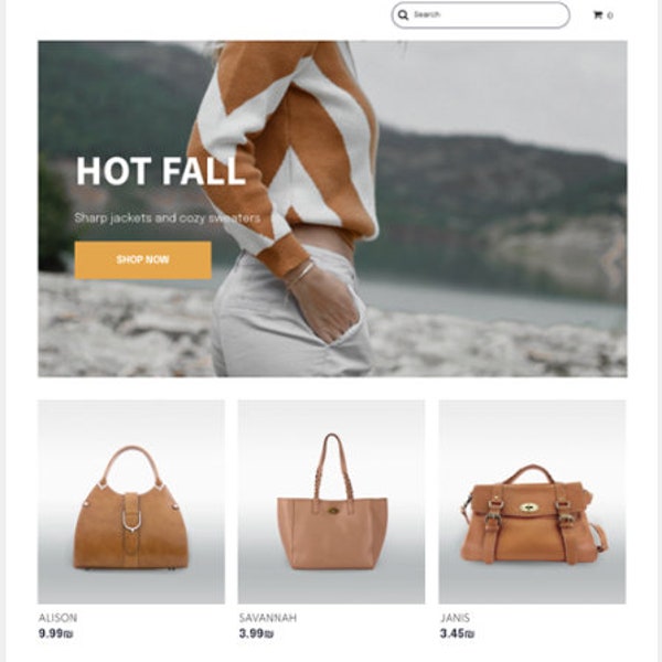 Clothing Shop Website Template: Trendy, SEO-Optimized, Responsive Design, E-commerce Ready, Fashion Blog