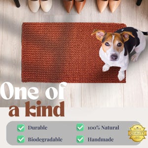 Handwoven Natural Palm Fiber Rug, Copper Entryway Mat image 3