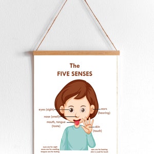 FIVE SENSES Printable Poster Educational Wall Art Hearing - Etsy