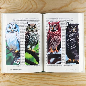 Set Of 4 Beautiful Owl Bookmarks | Laminated Die Cut Bookmarks | Gift For Mom | Set 1 |