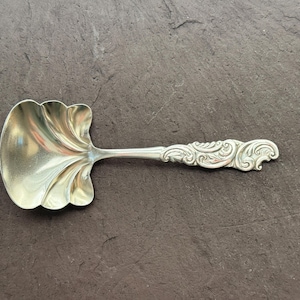 May include: A silver-colored ladle with a decorative handle and a scalloped bowl. The handle features ornate scrollwork. This serving utensil is likely for soups or sauces.