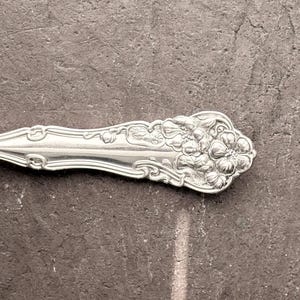 以下が含まれることがあります： 柄に花の模様が入った銀色のスプーンのクローズアップ。スプーンは光沢のある金属製で、複雑なディテールが施されています。ハンドルには花のクラスターがあります。