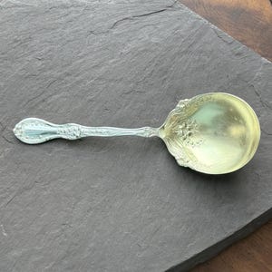 May include: Silver serving spoon with ornate floral and leaf detailing. The spoon has a wide, shallow bowl and a long, slender handle. The spoon is likely made of sterling silver and is displayed on a dark gray surface.