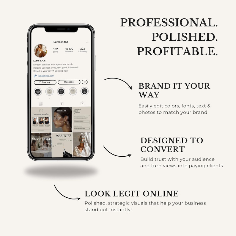 Puede incluir: Una captura de pantalla de un tel&eacute;fono inteligente muestra un perfil de redes sociales con el texto "LumeandCo". La imagen promueve im&aacute;genes profesionales para empresas. El texto incluye "Profesional, Pulido, Rentable" y "Look Legit Online."