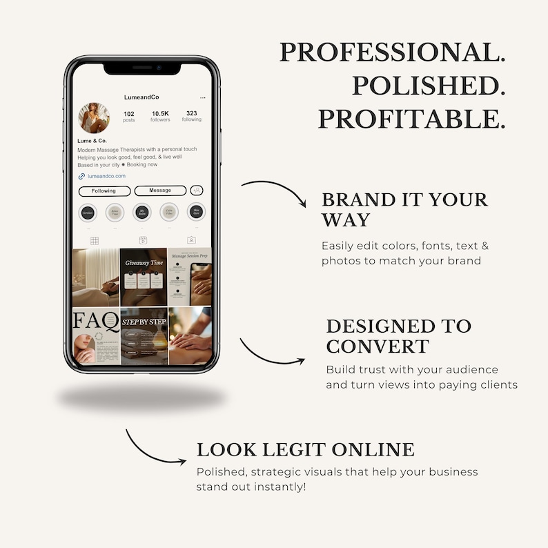 May include: A smartphone displays a social media profile with the text "LumeandCo." The image promotes professional visuals for businesses. Text includes "Professional. Polished. Profitable." and "Look Legit Online."