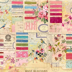 Rozenbloesem kleurvoorbeelden kortstondige kit, antieke roos wallpapers bloemen, kortstondige Franse exemplaren, vintage etiketten, Instant Download