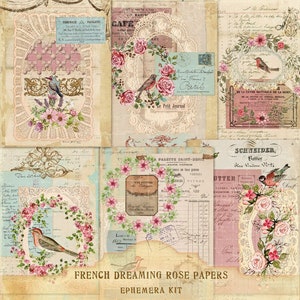 French Dreaming Rose Papers, Vintage Lace Collection, Shabby Chic Roses, French Birds Printables, French Junk Journal Papers, Digital Papers image 3