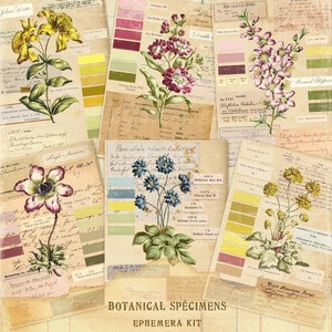 Kit kortstondige botanische exemplaren, vintage kruidenexemplaren, antiek roze papier, kortstondige bloemen, vintage labels, instant downloadbestanden