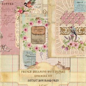 French Dreaming Rose Papers, Vintage Lace Collection, Shabby Chic Roses, French Birds Printables, French Junk Journal Papers, Digital Papers image 5
