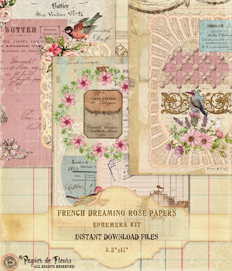 French Dreaming Rose Papers, Vintage Lace Collection, Shabby Chic Roses, French Birds Printables, French Junk Journal Papers, Digital Papers image 5