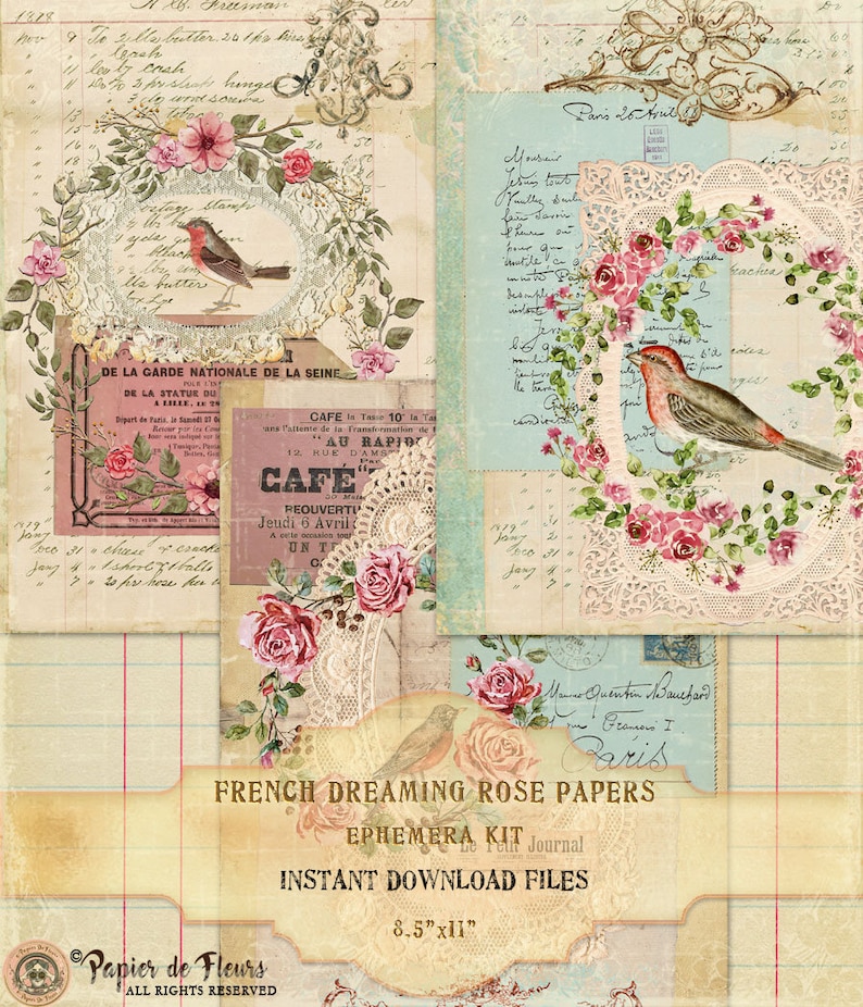 French Dreaming Rose Papers, Vintage Lace Collection, Shabby Chic Roses, French Birds Printables, French Junk Journal Papers, Digital Papers image 6