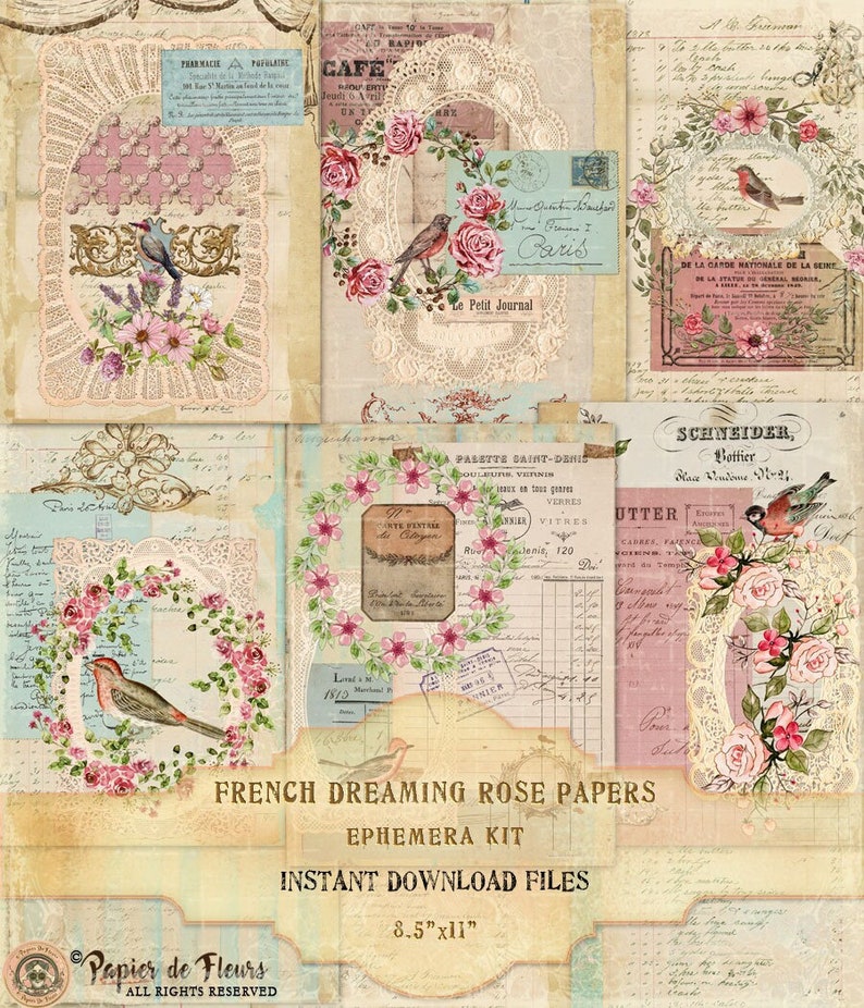 French Dreaming Rose Papers, Vintage Lace Collection, Shabby Chic Roses, French Birds Printables, French Junk Journal Papers, Digital Papers image 3