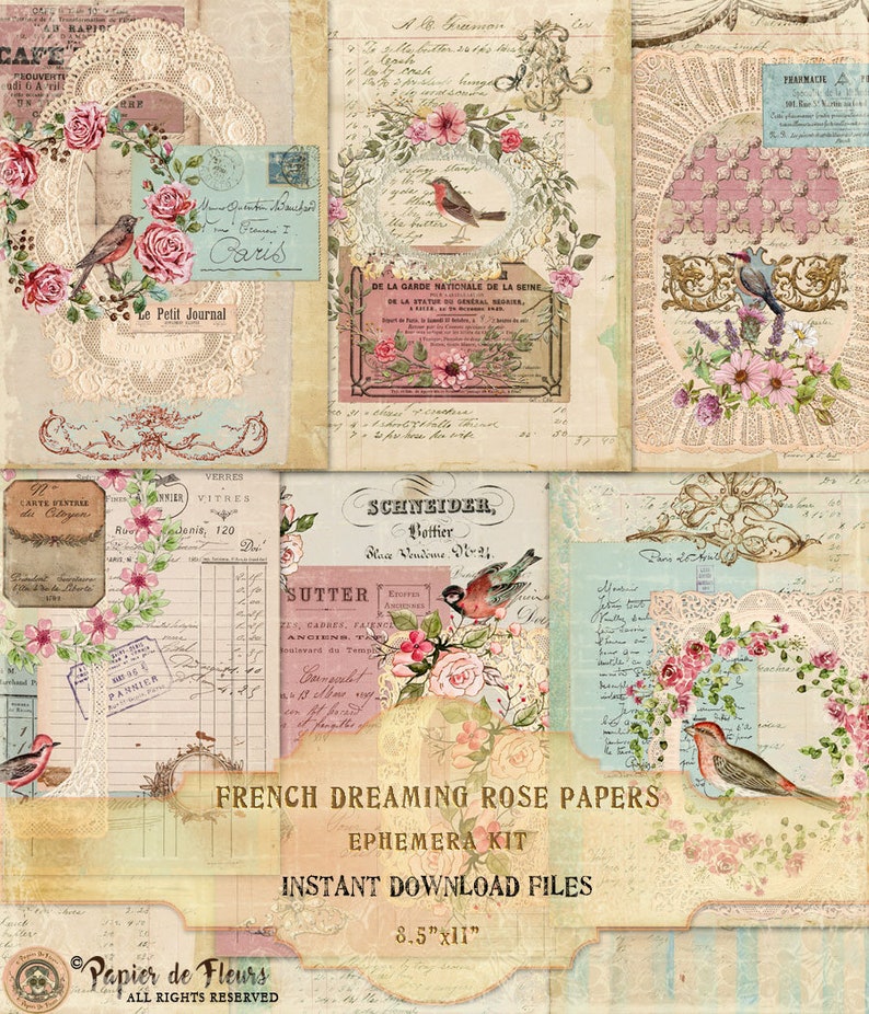 French Dreaming Rose Papers, Vintage Lace Collection, Shabby Chic Roses, French Birds Printables, French Junk Journal Papers, Digital Papers image 4