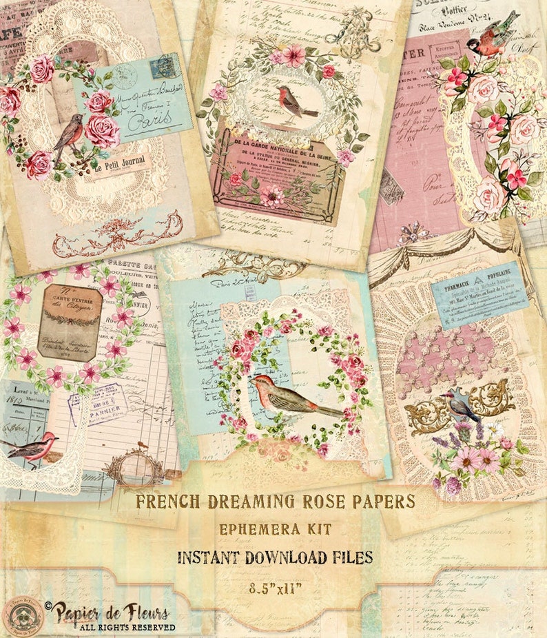 French Dreaming Rose Papers, Vintage Lace Collection, Shabby Chic Roses, French Birds Printables, French Junk Journal Papers, Digital Papers image 1