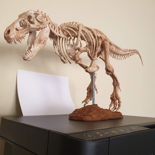 Esqueleto de Tyrannosaurus Rex de 30/ 60 / 90 / 200 cm de largo - réplica impresa en 3D
