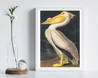 Könnte beinhalten: Ein gerahmter Druck mit einer detaillierten Illustration eines weißen Pelikans mit großem gelben Schnabel und leuchtend gelben Schwimmfüßen. Der Vogel steht vor einer dunklen, stimmungsvollen Landschaft mit einem Fluss, alles in einem weißen Rahmen.