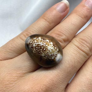 May include: A ring featuring a polished, oval-shaped cowrie shell as the centerpiece. The shell displays a dark brown, smooth outer edge that transitions into a central pattern of white, interconnected spots and lines against a brown background.
