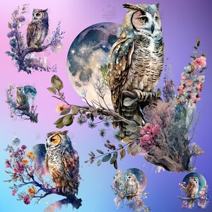 22 Watercolor Owls Clipart | Digital PNG Clip Art, Transparent Background | Fantasy, Mystical, Celestial | Instant Download, Commercial Use