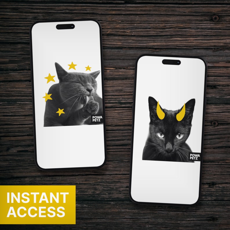 Photo of two POWA PETZ eCards featuring various cat designs, displayed on mobile phone devices spread across a dark wooden table