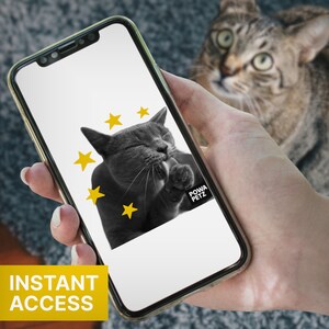 Tarjeta de felicitación personalizada, tarjeta de felicitación para descargar, tarjeta electrónica reutilizable, regalo para ella, regalo para mascotas para él, regalo perfecto para amantes de los gatos