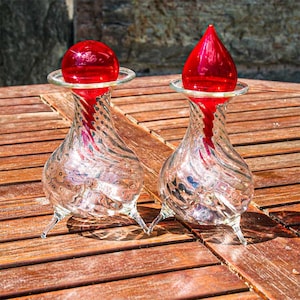 Biological wasp trap