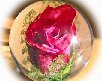 Briefbeschwerer Rose