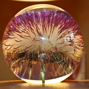 Paperweight open thistle