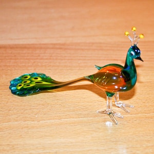 peacock