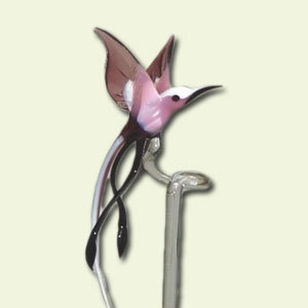 Orchid Staff Oiseau de paradis