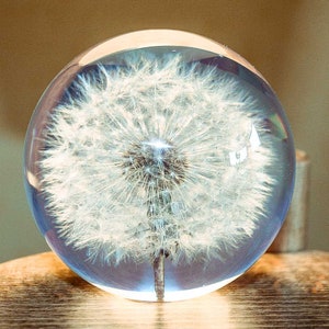 Paperweight Dandelion