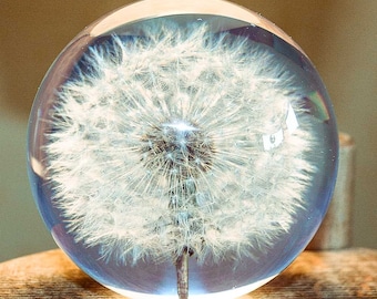 Paperweight Dandelion