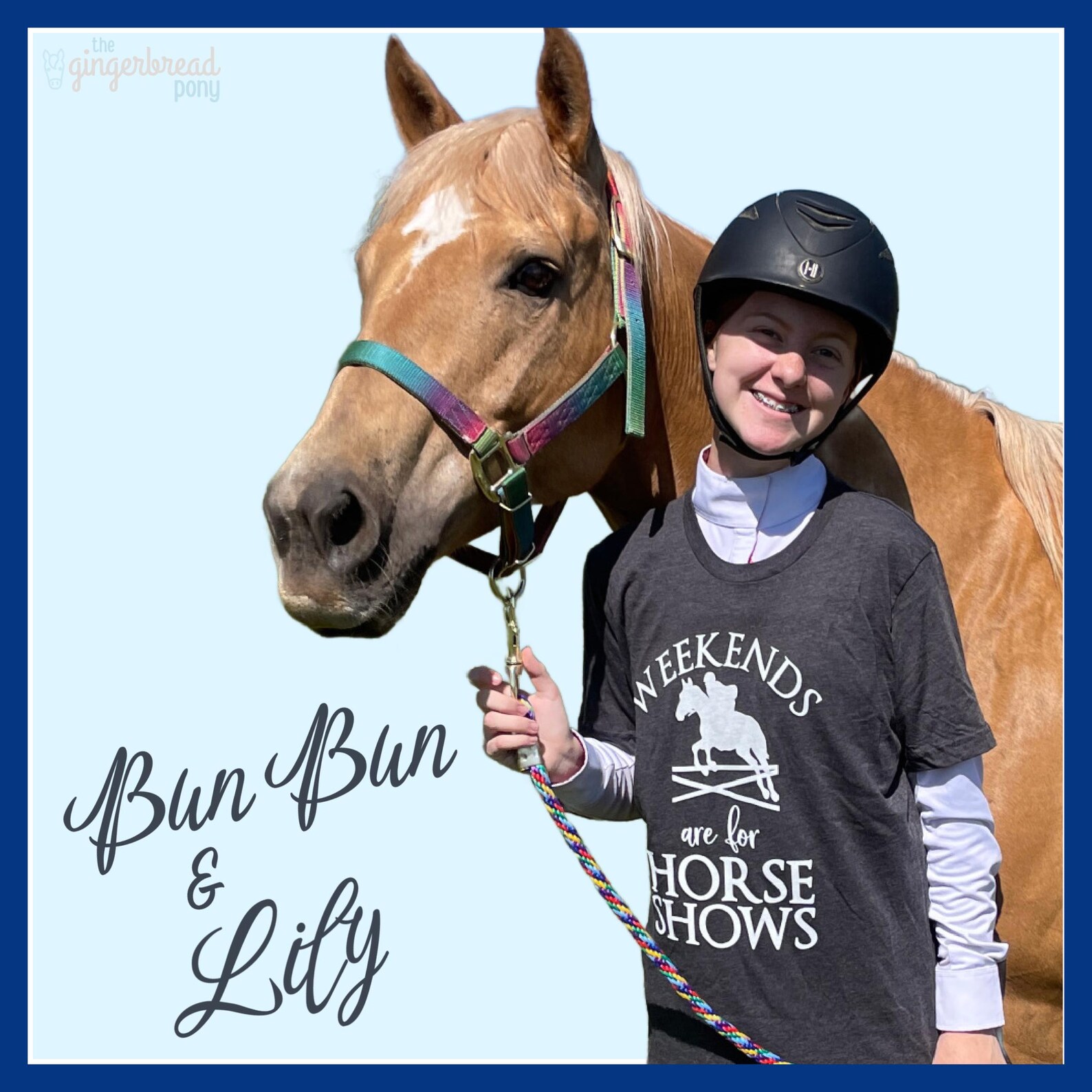 Printable HORSEBACK RIDING Lesson Plan Pages | Equestrian Horse Show ...