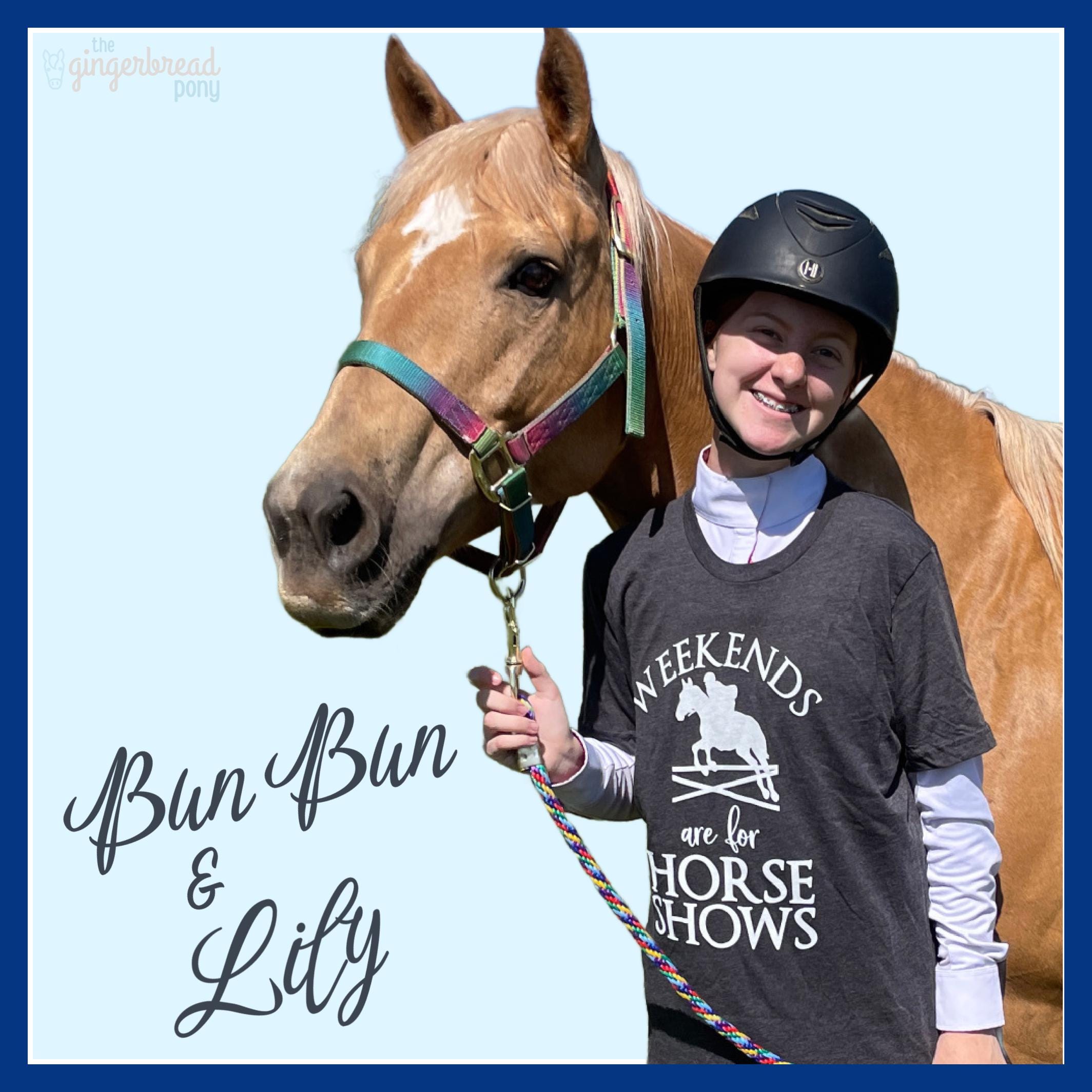 Printable HORSEBACK RIDING Lesson Plan Pages | Equestrian Horse Show ...