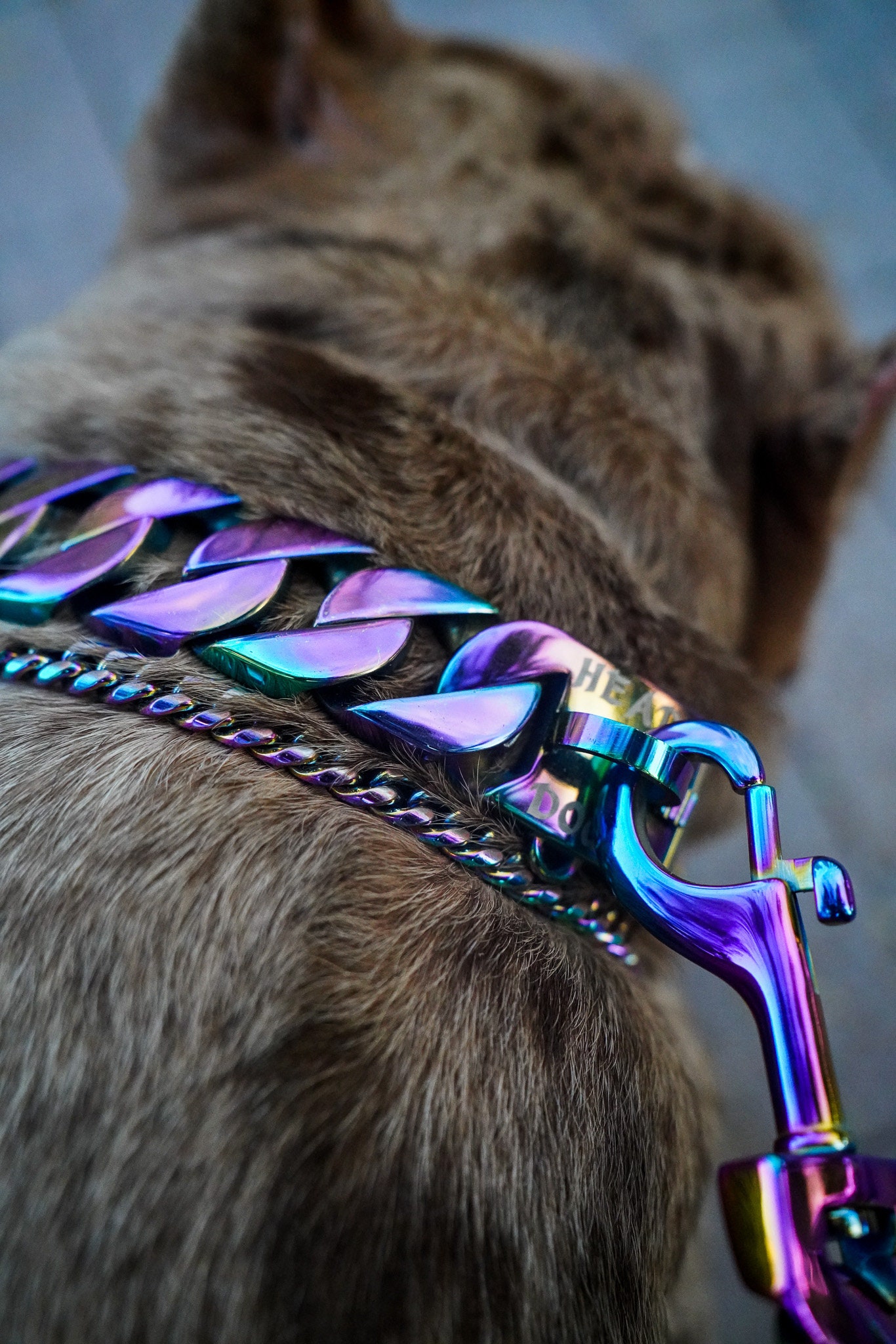 1Pcs Snake Chain Hond Rvs Puppy Pet Show Metalen Slip Ketting Training Wandelen Voor Franse Bulldog