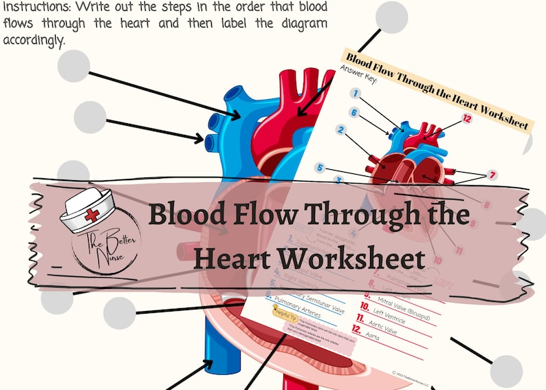 Nursing Worksheet of Blood Flow Through the Heart/body Nursing Study Nursing Worksheet of Blood Flow Through the Heart/body Nursing Study