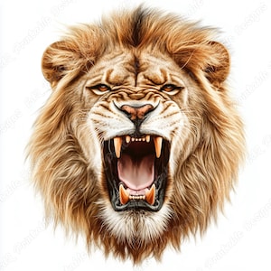 20 images clipart Lion réaliste, images imprimables aquarelle visage de Lion, illustration d'animaux Safari en téléchargement numérique, créations en papier JPG pour scrapbooking