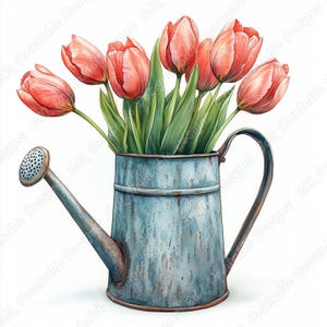 May include: A vintage blue watering can with a rusty patina, filled with a bouquet of bright red tulips.