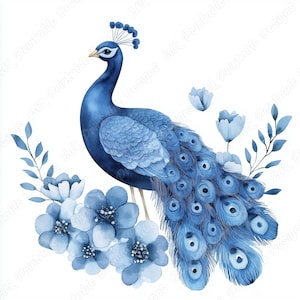 20 Pavão com flores Clip Art, Imagem de pássaro floral para impressão, Download digital de pavão chique, Lindo pacote de artesanato em papel para scrapbooking JPG