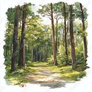 Op de afbeelding: Waterverfschilderij van een zonnige bosscène. Hoge, slanke bomen met bruine stammen en groene bladeren omlijsten een pad dat in de verte leidt. Het kunstwerk heeft een zacht, natuurlijk kleurenpalet met licht en schaduw.