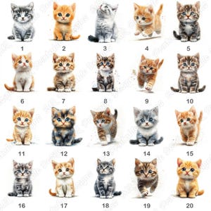 20 Cute Kitten Clip Art, Adorable Animal Printable Images, Watercolor Baby Cat Digital Download, Little Kitten Scrapbooking Paper Crafts JPG