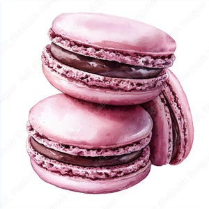 20 Aquarell Macarons Clip Art, süße Kekse druckbare Bilder, süße Kekse digitaler Download, französische Bäckerei Scrapbooking Papierhandwerk JPG