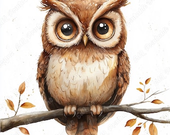 Watercolor Owl Clipart, Woodland Animal JPG Images Bundle (Digital Download)