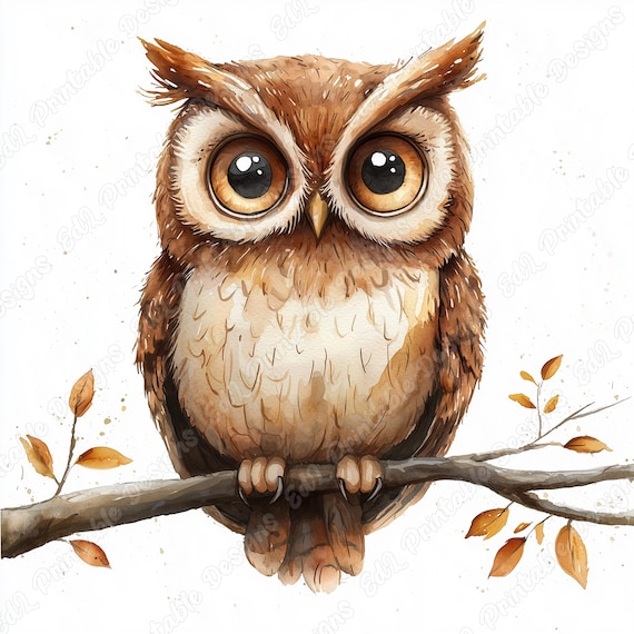 Watercolor Owl Clipart, Woodland Animal Illustrations (JPG Bundle)