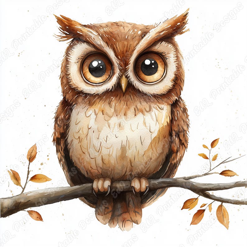 20 Watercolor Cute Owl Clip Art, Woodland Animal Printable Images, Baby Shower Digital Download, Nursery Scrapbooking Paper Craft JPG Bundle