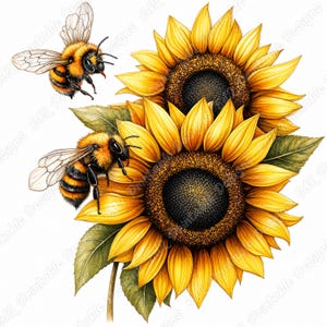 Honey Bee Clipart, Watercolor Floral Bees, Spring Garden Art (Digital Download)