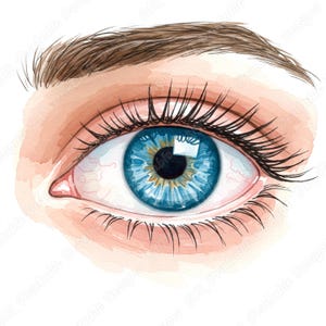 20 Clip Art de Olho Humano Único, Imagem de Globo Ocular em Aquarela para Imprimir, Download Digital de Olho Realista, Lindo Olho para Scrapbooking em Papel JPG