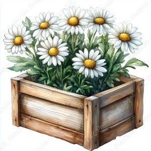 20 bloem bed vak illustraties, houten kist afdrukbare afbeeldingen, oude tuin plantenbak digitale download, aquarel scrapbooking papier ambachten JPG set