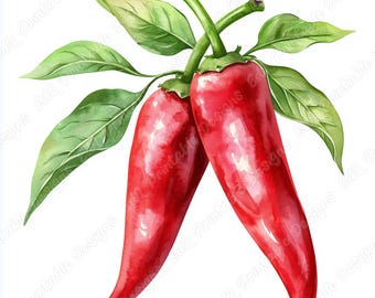 JPEG 水彩画 赤唐辛子 クリップアート バンドル 商用利用 野菜