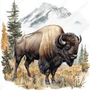 20 Majestic American Bison Clip Art, Watercolor Buffalo Printable Images, Digital Download, Wild Animal Scrapbooking Paper Crafts JPG Bundle